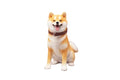 i8 TOYS JXK JXK075B 1/6 scale simulation Shiba Inu animal dog model GK ornaments can take 12 inch soldier dolls