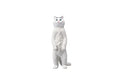 i8 TOYS JXK JXK084D 1/6 scale 12 inch penalty station cat British shorthair pet realistic static model ornaments