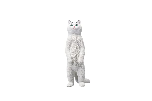 i8 TOYS JXK JXK084D 1/6 scale 12 inch penalty station cat British shorthair pet realistic static model ornaments