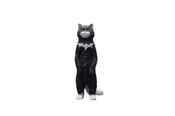 i8 TOYS JXK JXK084F 1/6 scale 12 inch penalty station cat British shorthair pet realistic static model ornaments