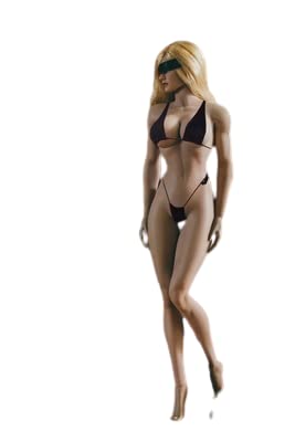 i8 TOYS Phicen TBLeague 1/6 Scale Female Seamless Action Figures Stainless Steel Skeleton 12 Inch Super Flexible Female Figure Dolls for Arts Drawings Photography With Big Breast, Wheat Skin (S21B)
