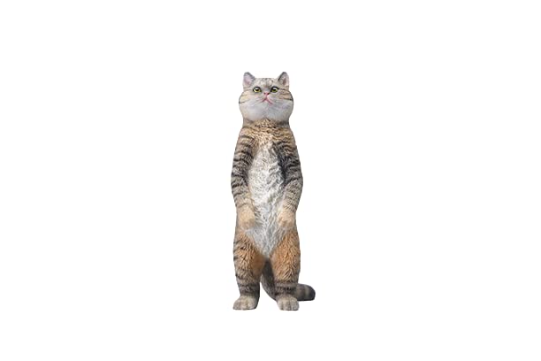 i8 TOYS JXK JXK084C 1/6 scale 12 inch penalty station cat British shorthair pet realistic static model ornaments