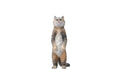 i8 TOYS JXK JXK084C 1/6 scale 12 inch penalty station cat British shorthair pet realistic static model ornaments