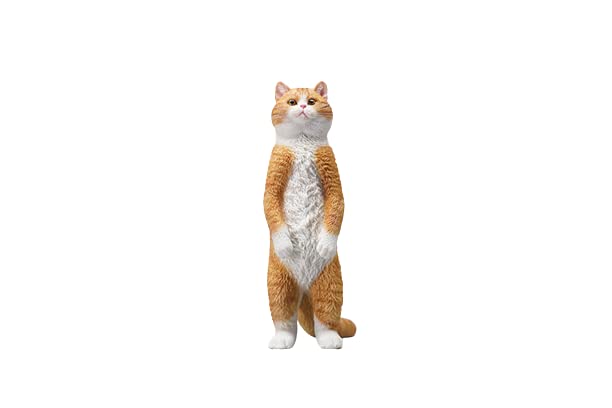 i8 TOYS JXK JXK084B 1/6 scale 12 inch penalty station cat British shorthair pet realistic static model ornaments