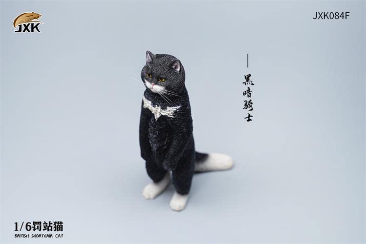 i8 TOYS JXK JXK084F 1/6 scale 12 inch penalty station cat British shorthair pet realistic static model ornaments