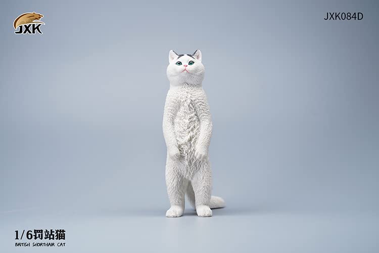 i8 TOYS JXK JXK084D 1/6 scale 12 inch penalty station cat British shorthair pet realistic static model ornaments