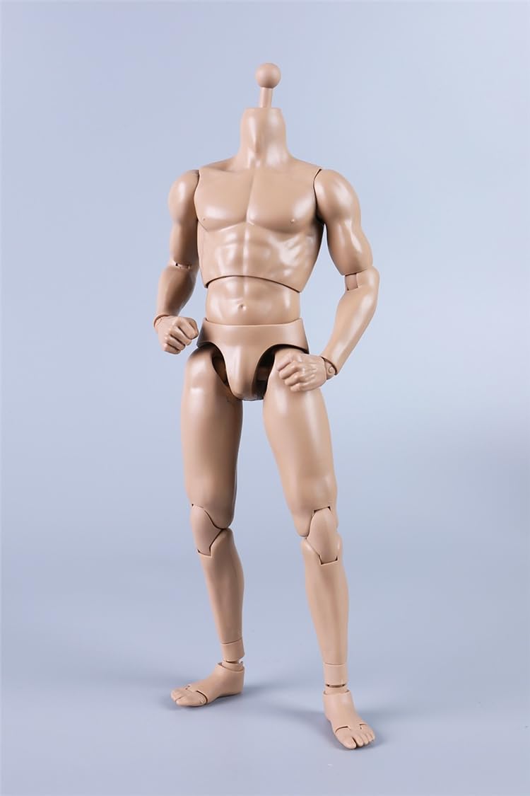 COOMODEL 1/6 Scale muscular man Super Flexible Figure Body 23.9cm Male Action Figure Body Without Head Sculpture