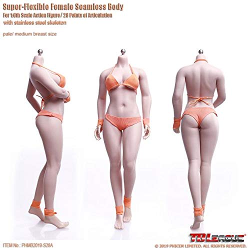 YSBRING TBLeague 1/6 Scale Super-Flexible Female Seamless Body Realistic Plump Full Silicone Body Figure Dolls (S28A, Pale)