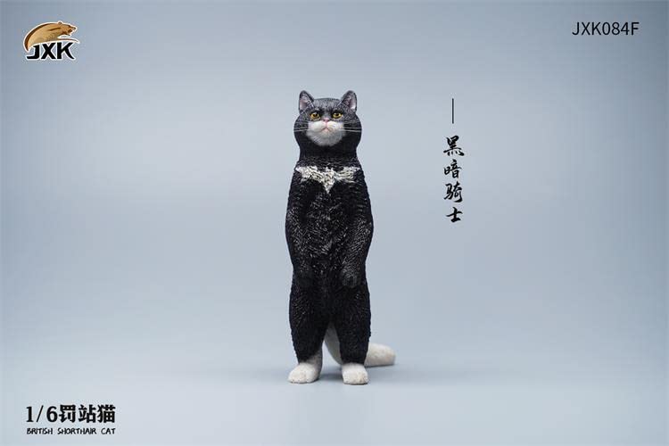 i8 TOYS JXK JXK084F 1/6 scale 12 inch penalty station cat British shorthair pet realistic static model ornaments