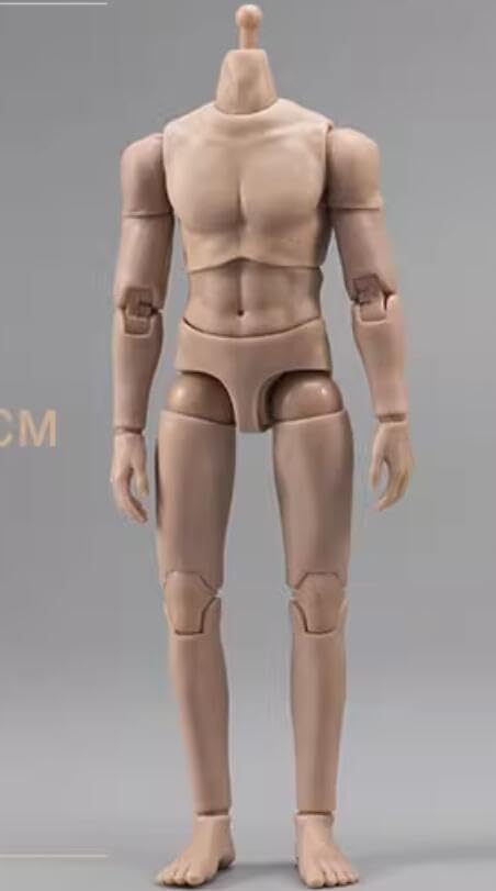 JIAOU DOLL 1/12 scale male body Movable muscle male model no head for 6 inch man action figure