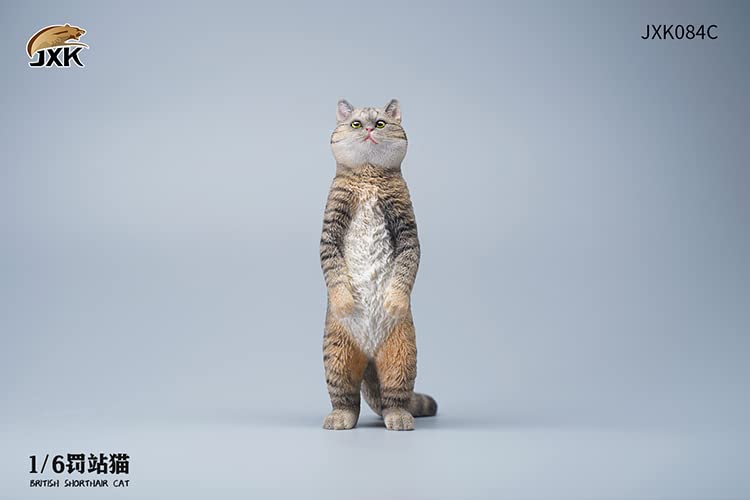i8 TOYS JXK JXK084C 1/6 scale 12 inch penalty station cat British shorthair pet realistic static model ornaments