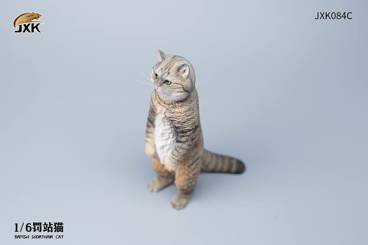 i8 TOYS JXK JXK084C 1/6 scale 12 inch penalty station cat British shorthair pet realistic static model ornaments