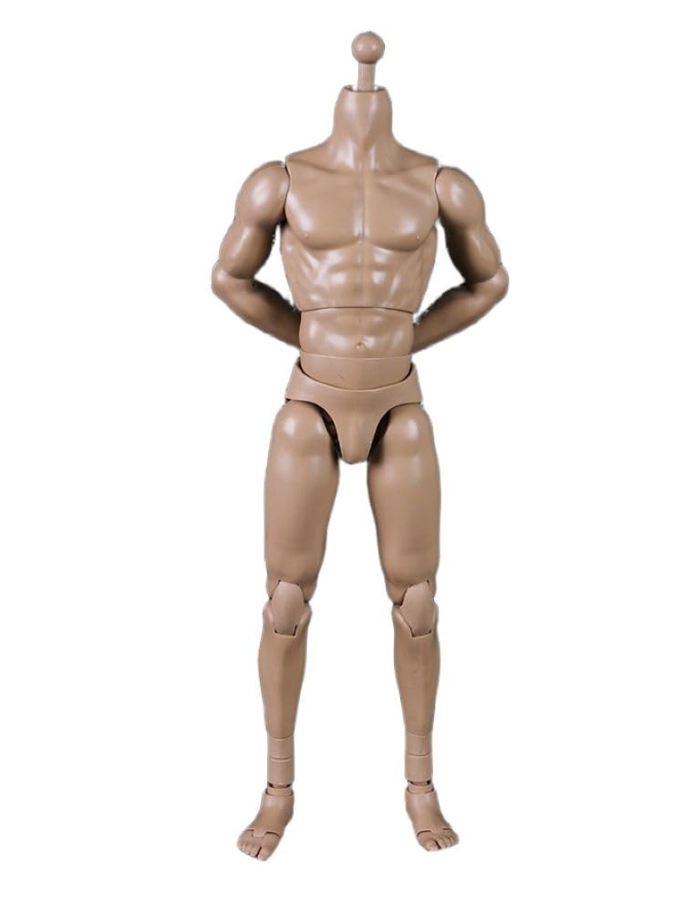 COOMODEL 1/6 Scale muscular man Super Flexible Figure Body 23.9cm Male Action Figure Body Without Head Sculpture