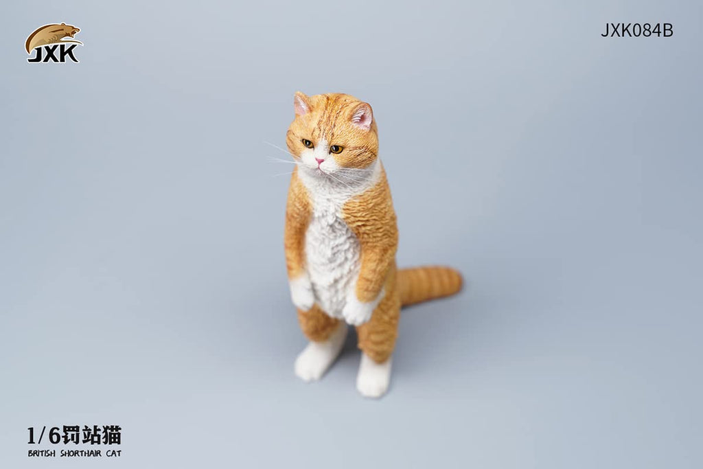 i8 TOYS JXK JXK084B 1/6 scale 12 inch penalty station cat British shorthair pet realistic static model ornaments