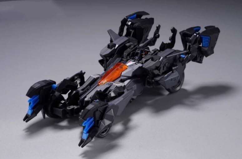 Bigfirebird build 1/60 scale FICEDULA model kits