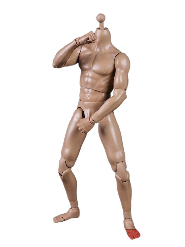 COOMODEL 1/6 Scale muscular man Super Flexible Figure Body 23.9cm Male Action Figure Body Without Head Sculpture