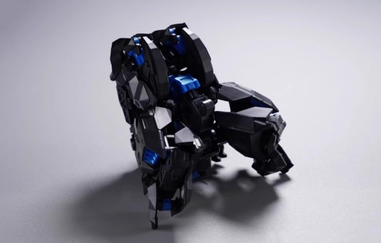 Bigfirebird build 1/60 scale FICEDULA model kits