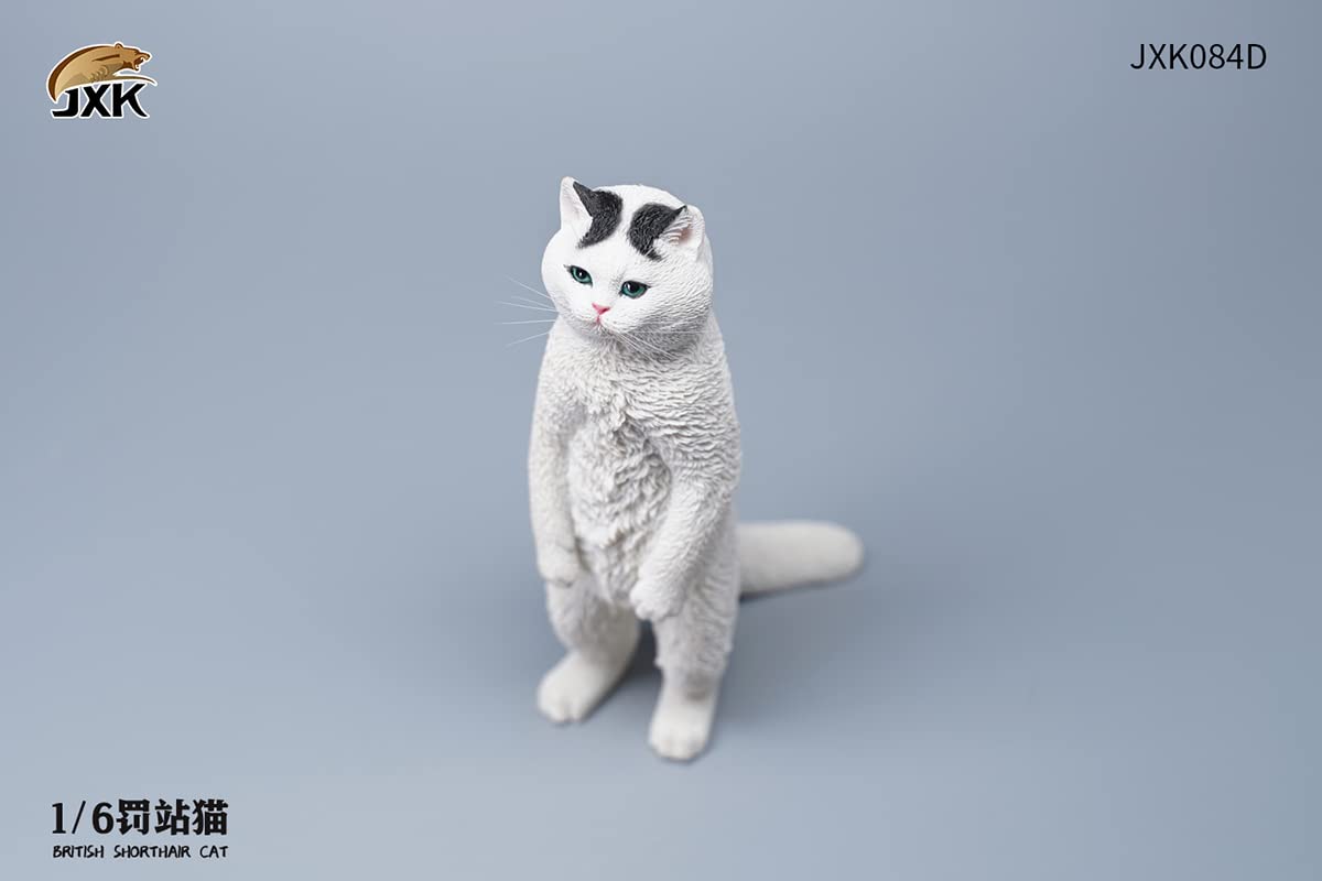 i8 TOYS JXK JXK084D 1/6 scale 12 inch penalty station cat British shorthair pet realistic static model ornaments