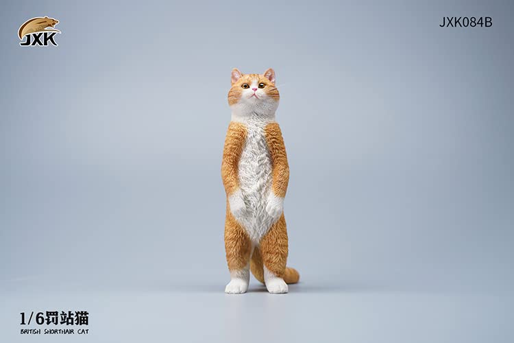 i8 TOYS JXK JXK084B 1/6 scale 12 inch penalty station cat British shorthair pet realistic static model ornaments