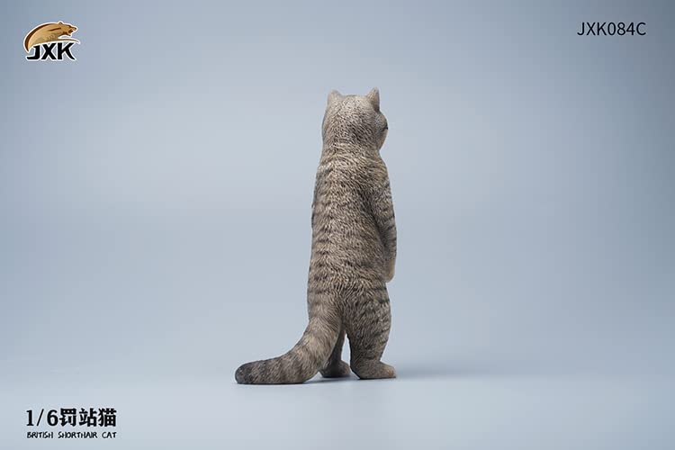 i8 TOYS JXK JXK084C 1/6 scale 12 inch penalty station cat British shorthair pet realistic static model ornaments