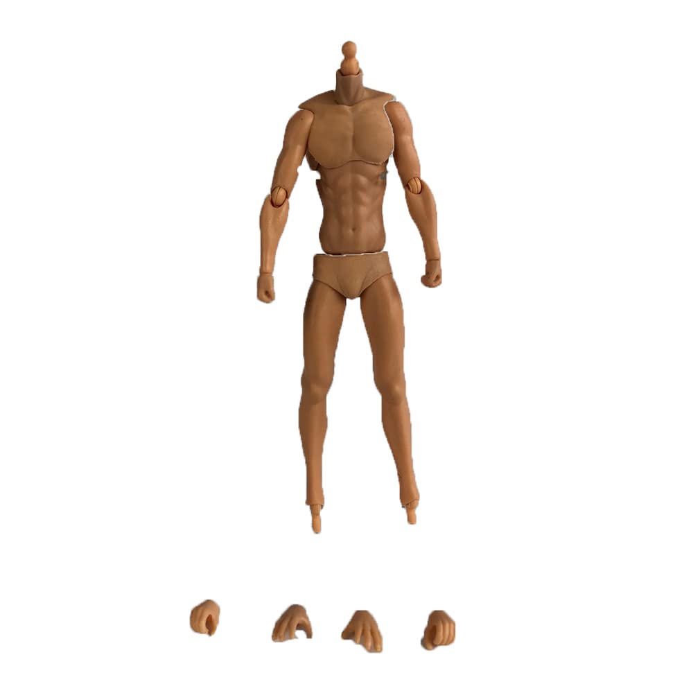 i8 TOYS DT company 1/12 scale 6 inch action undressing body figure desktop model puppet SHF collectible action figure-large