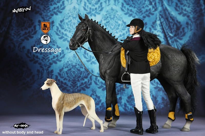 MR.Z MULTIFUN 1/6 scale Women's Equestrian Clothing Set with Racehorse Model for 12 inch female action figure MF004A