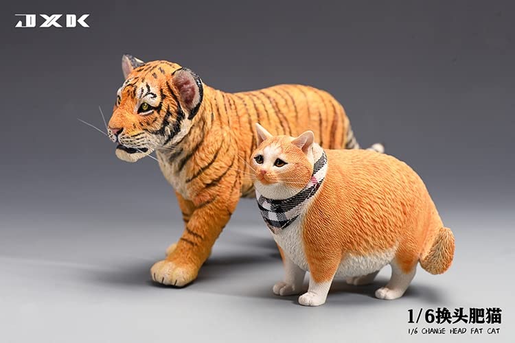 JXK JXK109D 1/6 Scale Change Head Fat Cat Collectible Cute Animal Figure Desktop Fairy Garden Decoration(Orange)