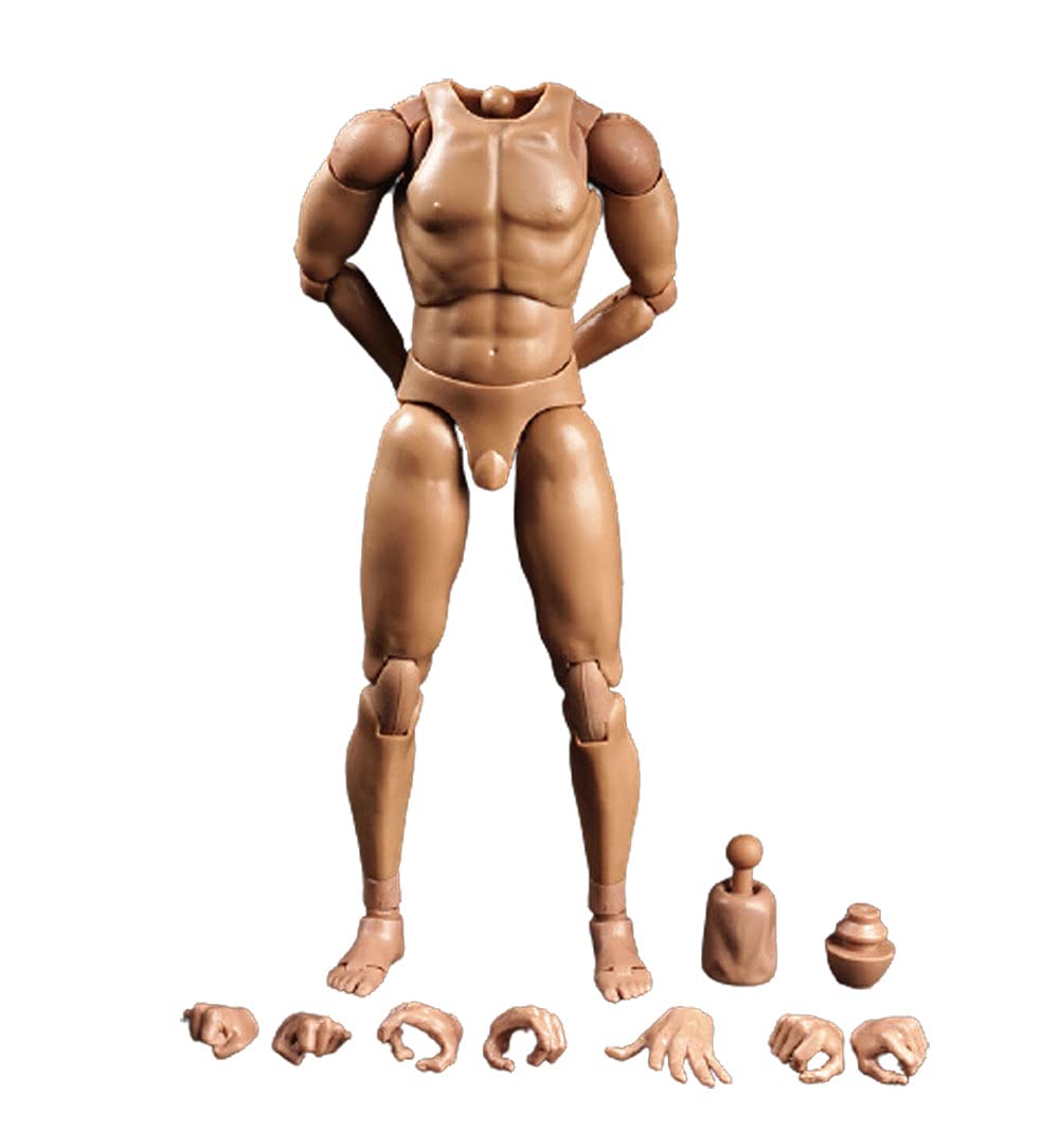 i8 toys COOMODEL BD001 1/6 scale male narrow shoulders body for men collectable action figure
