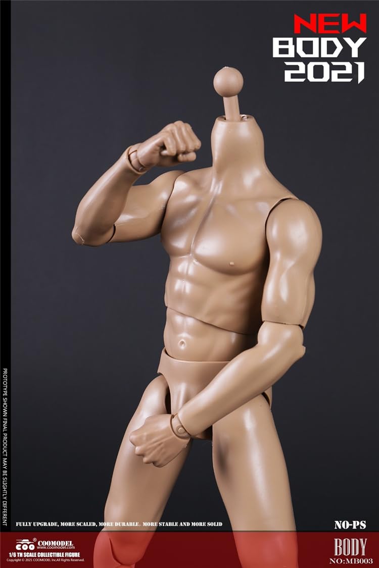 COOMODEL 1/6 Scale muscular man Super Flexible Figure Body 23.9cm Male Action Figure Body Without Head Sculpture