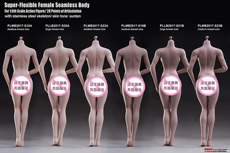 i8 TOYS Phicen TBLeague 1/6 Scale Female Seamless Action Figures Stainless Steel Skeleton 12 Inch Super Flexible Female Figure Dolls for Arts Drawings Photography With Big Breast, Wheat Skin (S21B)