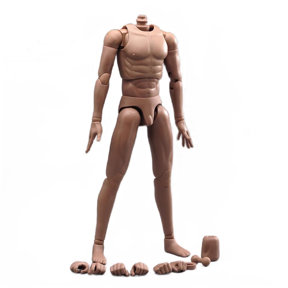 1/6 scale male doll body for 12 inch man action figure bodys