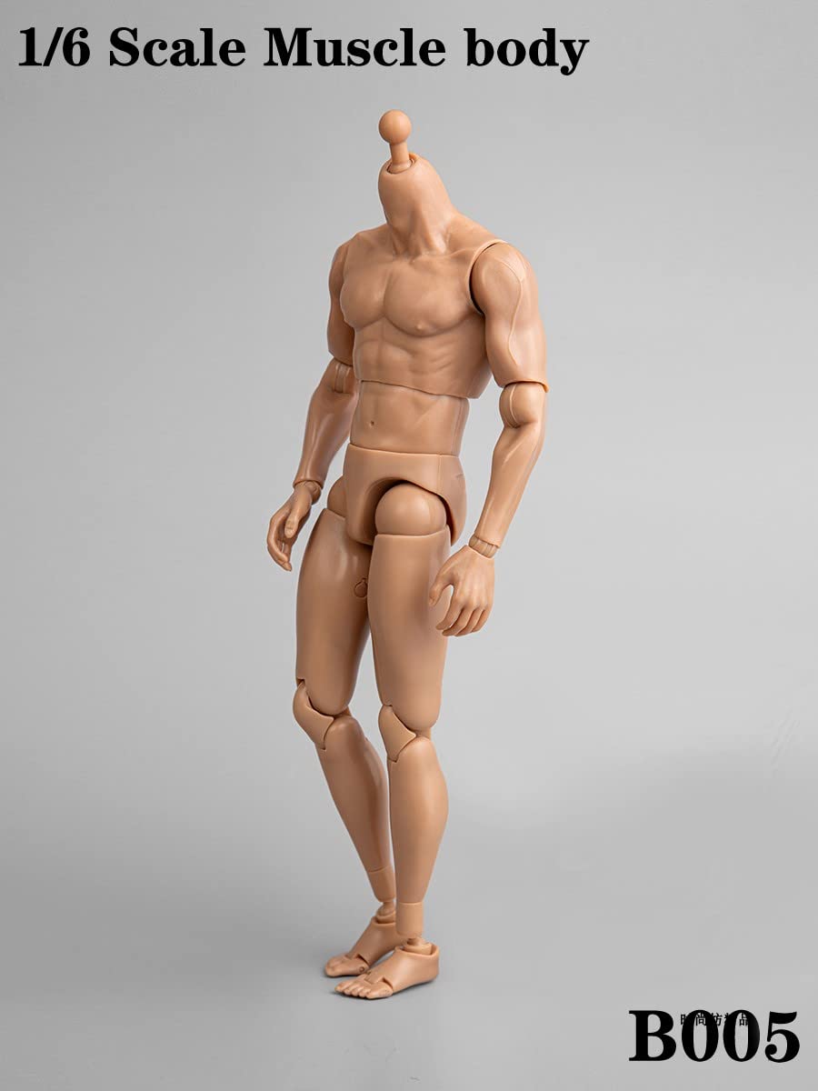 1/6 Scale Male Accessories Muscle Body for 12 inch kung fu movie star Action Figure Dessin Doll,ZYTOYS B005
