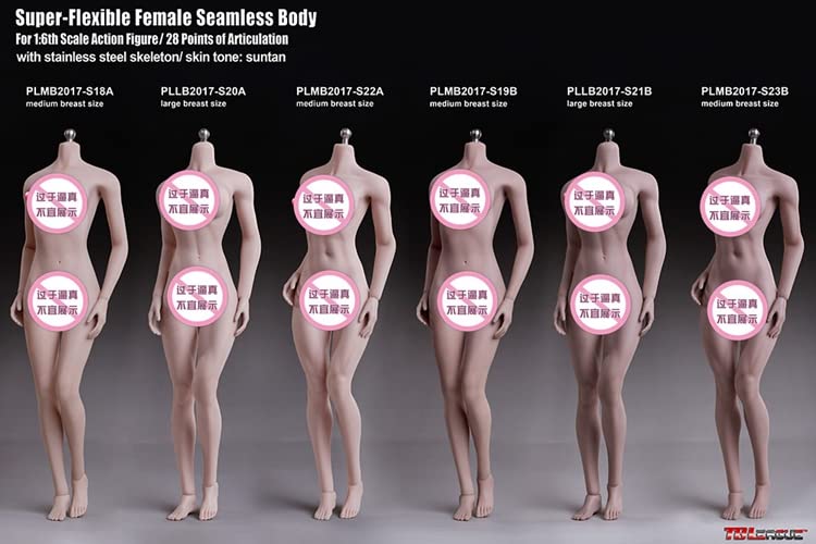 i8 TOYS Phicen TBLeague 1/6 Scale Female Seamless Action Figures Stainless Steel Skeleton 12 Inch Super Flexible Female Figure Dolls for Arts Drawings Photography With Big Breast, Wheat Skin (S21B)