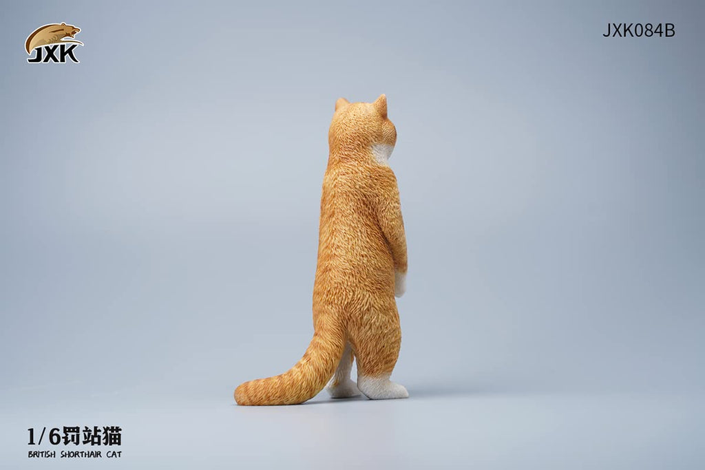 i8 TOYS JXK JXK084B 1/6 scale 12 inch penalty station cat British shorthair pet realistic static model ornaments