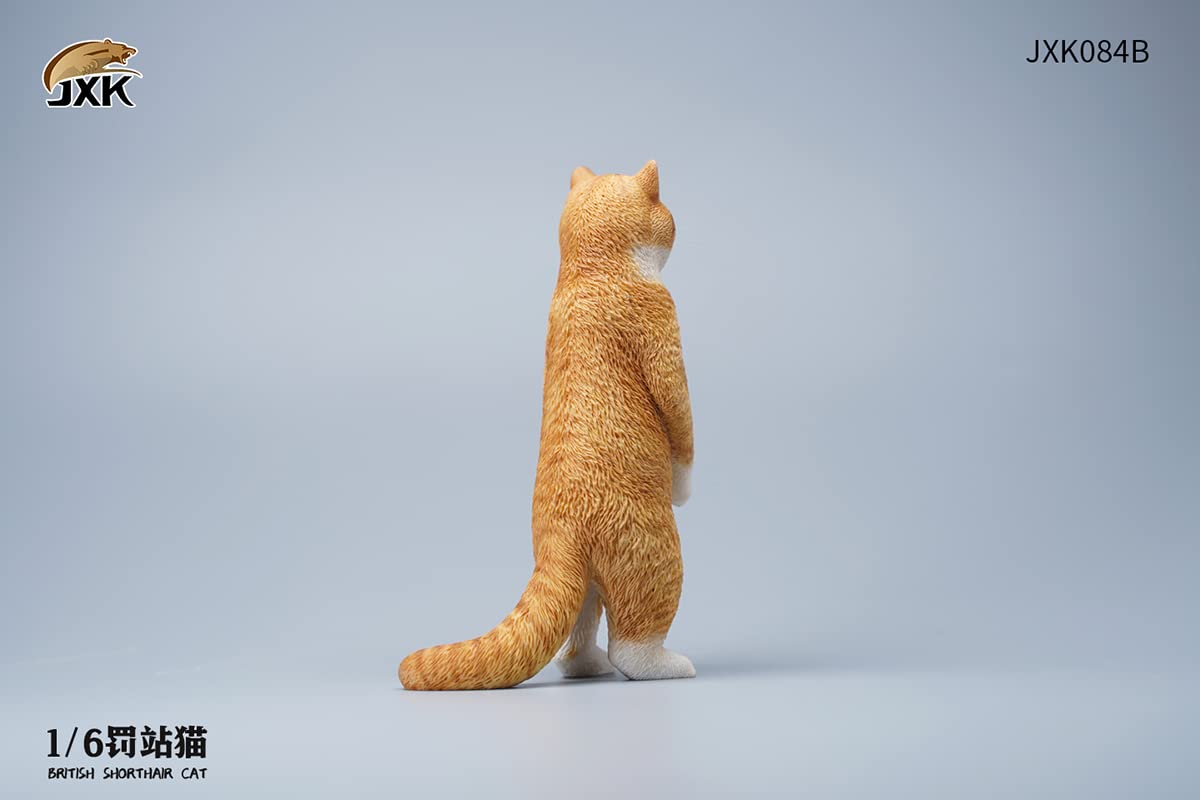 i8 TOYS JXK JXK084B 1/6 scale 12 inch penalty station cat British shorthair pet realistic static model ornaments