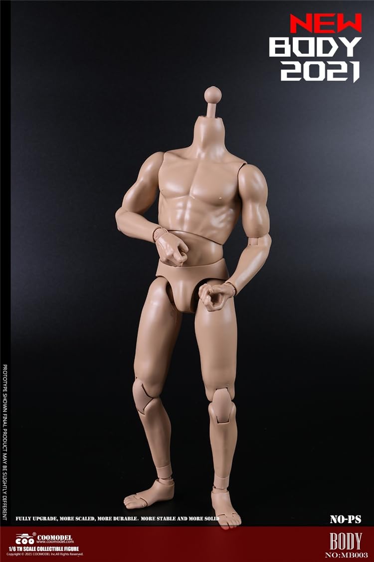 COOMODEL 1/6 Scale muscular man Super Flexible Figure Body 23.9cm Male Action Figure Body Without Head Sculpture