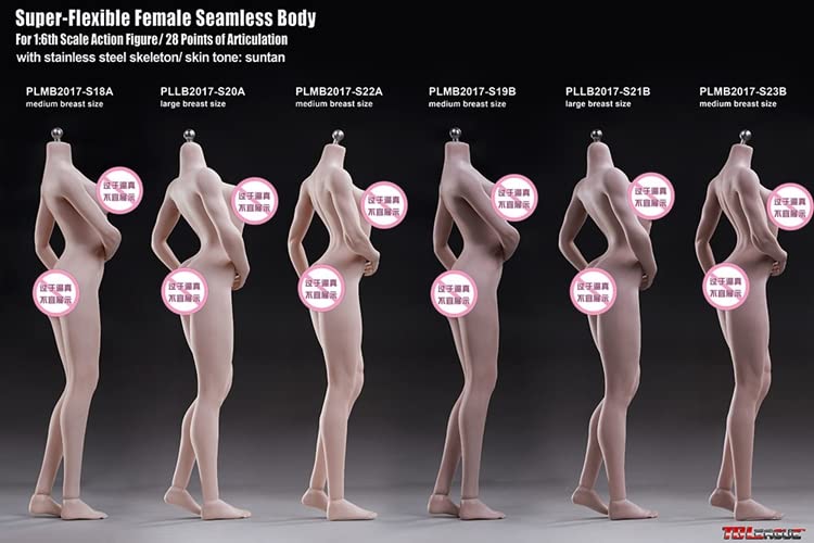 i8 TOYS Phicen TBLeague 1/6 Scale Female Seamless Action Figures Stainless Steel Skeleton 12 Inch Super Flexible Female Figure Dolls for Arts Drawings Photography With Big Breast, Wheat Skin (S21B)