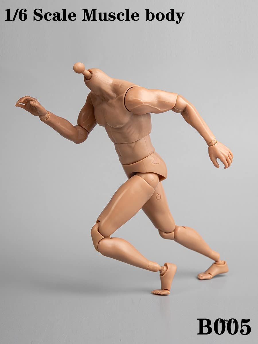 1/6 Scale Male Accessories Muscle Body for 12 inch kung fu movie star Action Figure Dessin Doll,ZYTOYS B005