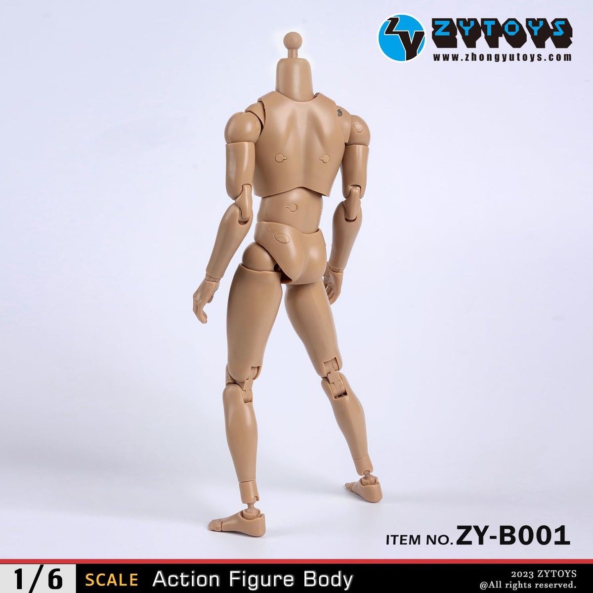 1/6 Scale Male Accessories Muscle Body for 12 inch kung fu movie star Action Figure Dessin Doll,ZYTOYS B001
