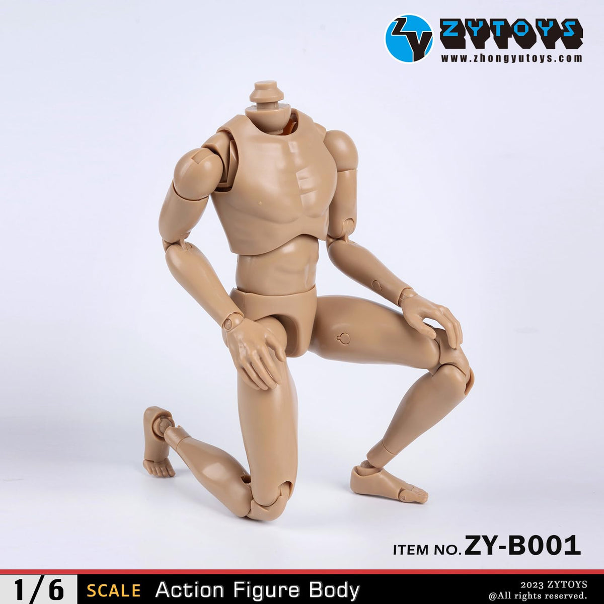 1/6 Scale Male Accessories Muscle Body for 12 inch kung fu movie star Action Figure Dessin Doll,ZYTOYS B001