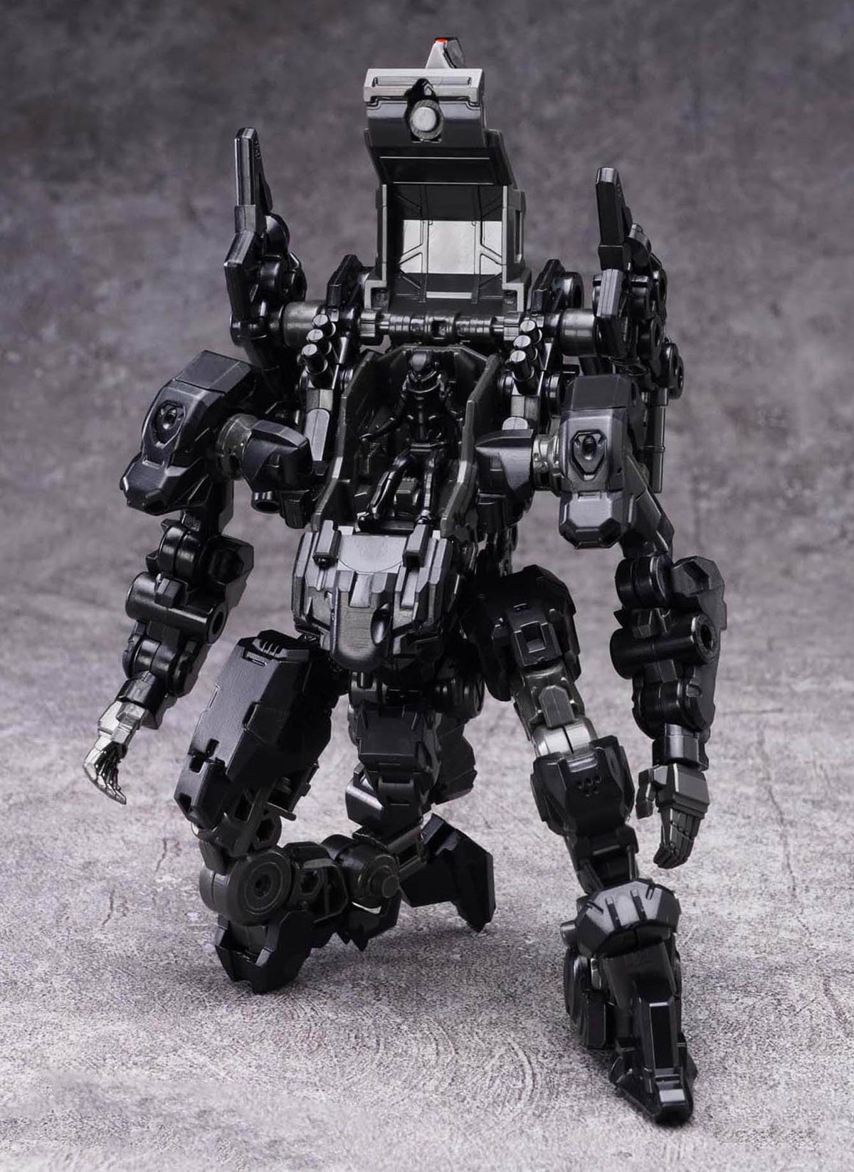 Bigfirebird Build 1/60 scale skullbird Articulated Model Kit‌